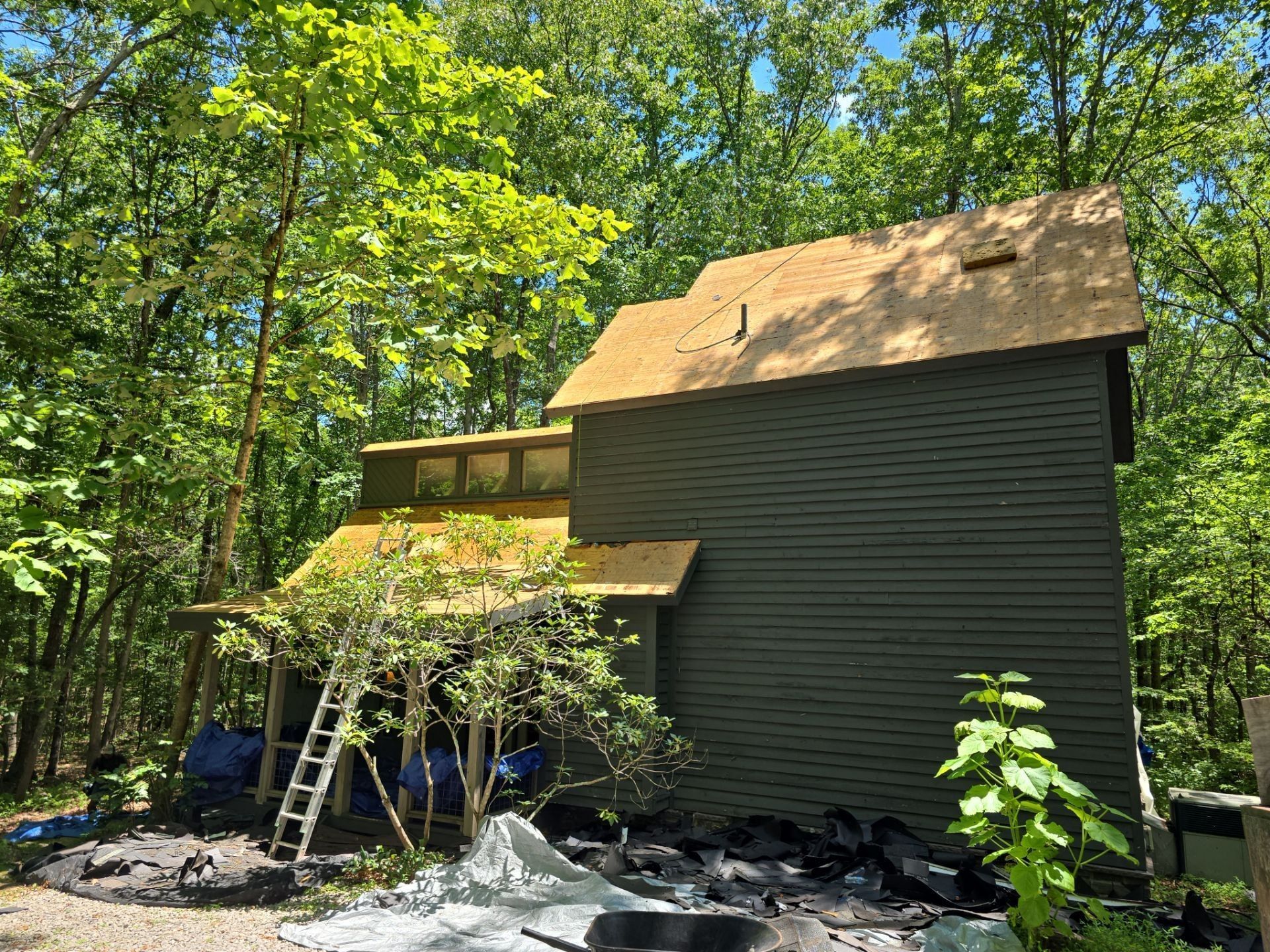 House exterior, green siding, new roof, surrounded by trees. Ladder leans against the house, construction materials present.