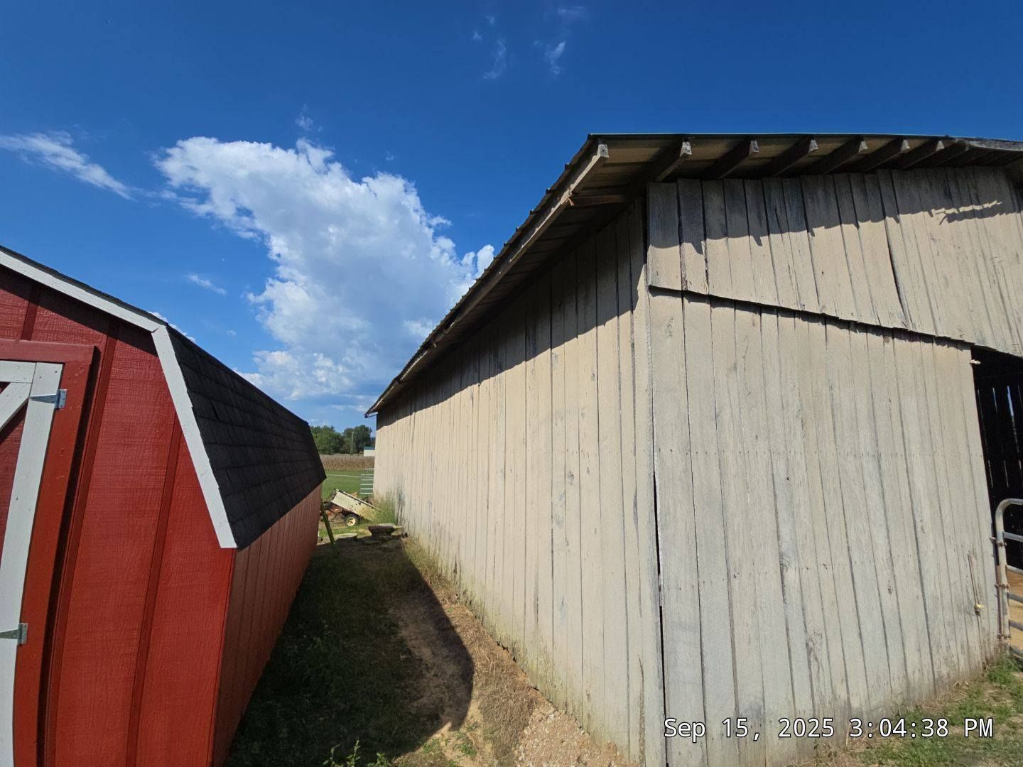 Red shed beside a weathered, light-colored barn under a bright blue sky with clouds.