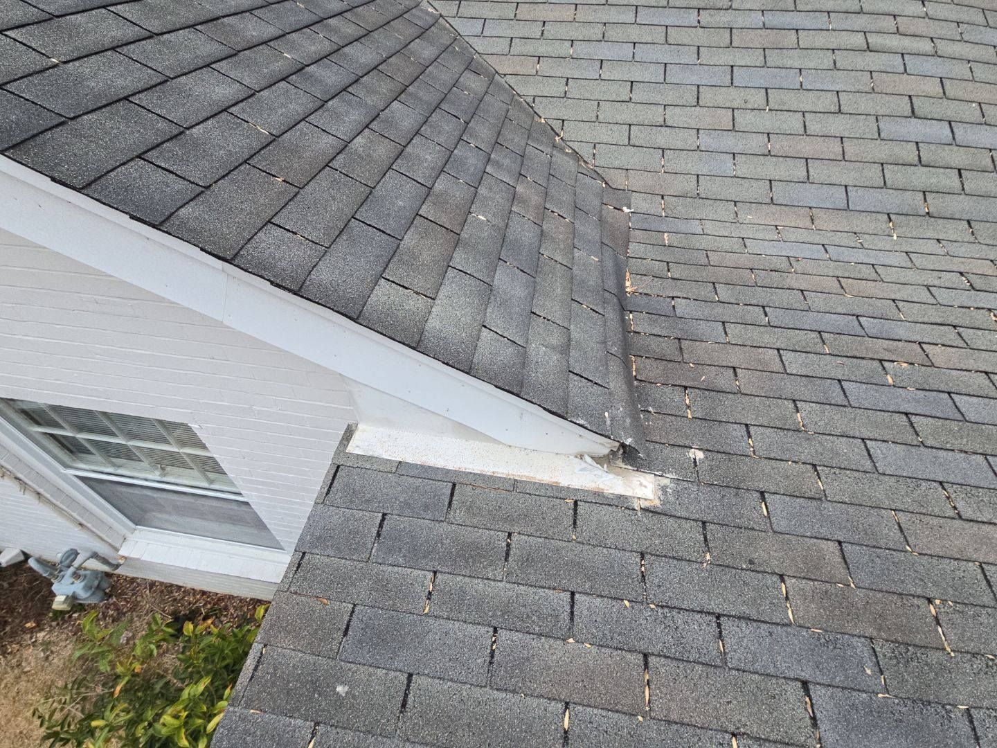 Gray asphalt shingle roof, white trim on a house with a window and vegetation.