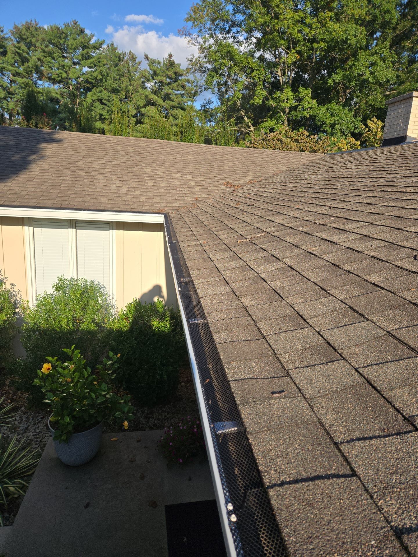 Roof with brown shingles, gutter guard, and trees in the background under a blue sky.