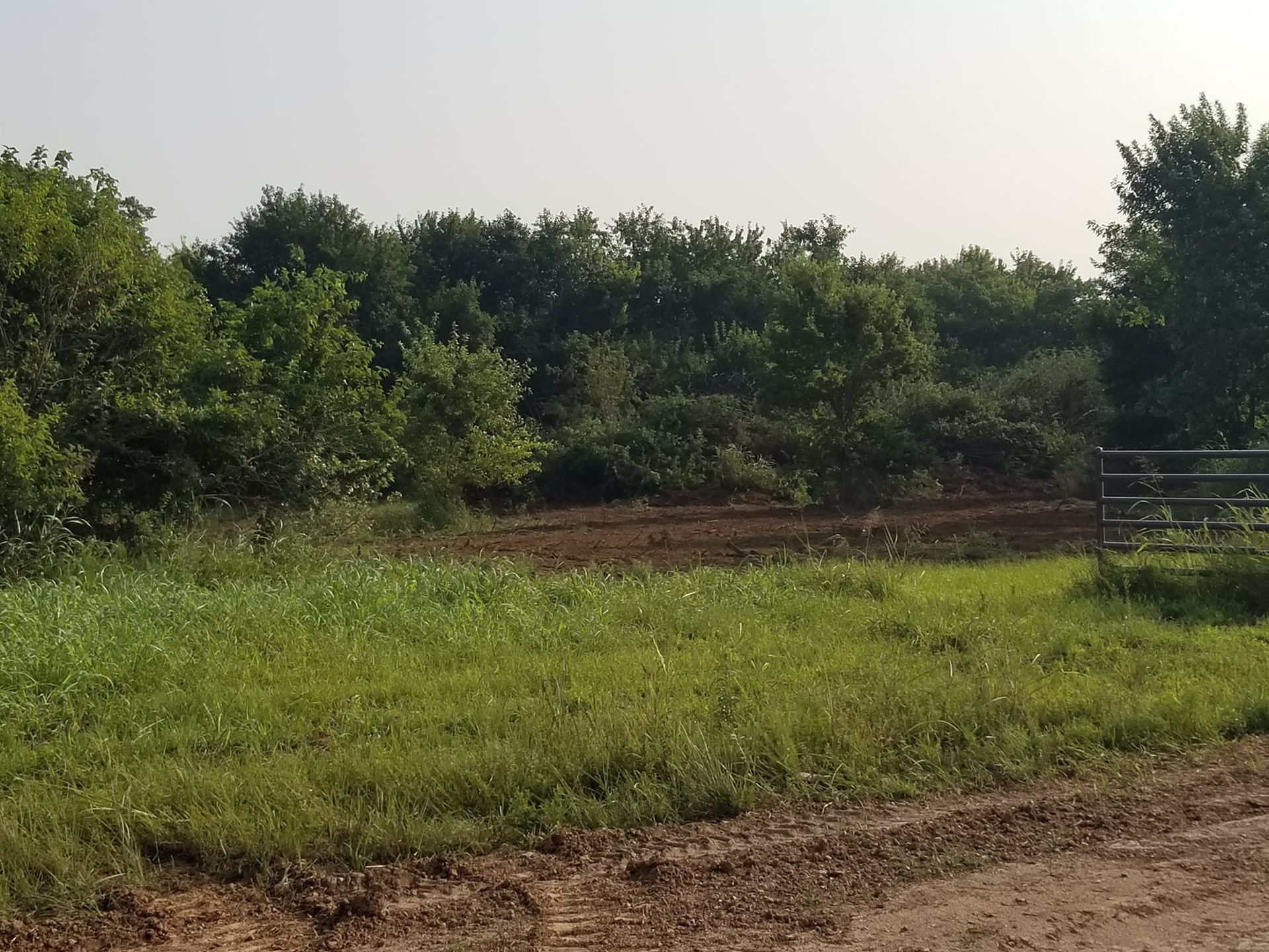 A dirt road going through a grassy field with trees in the background