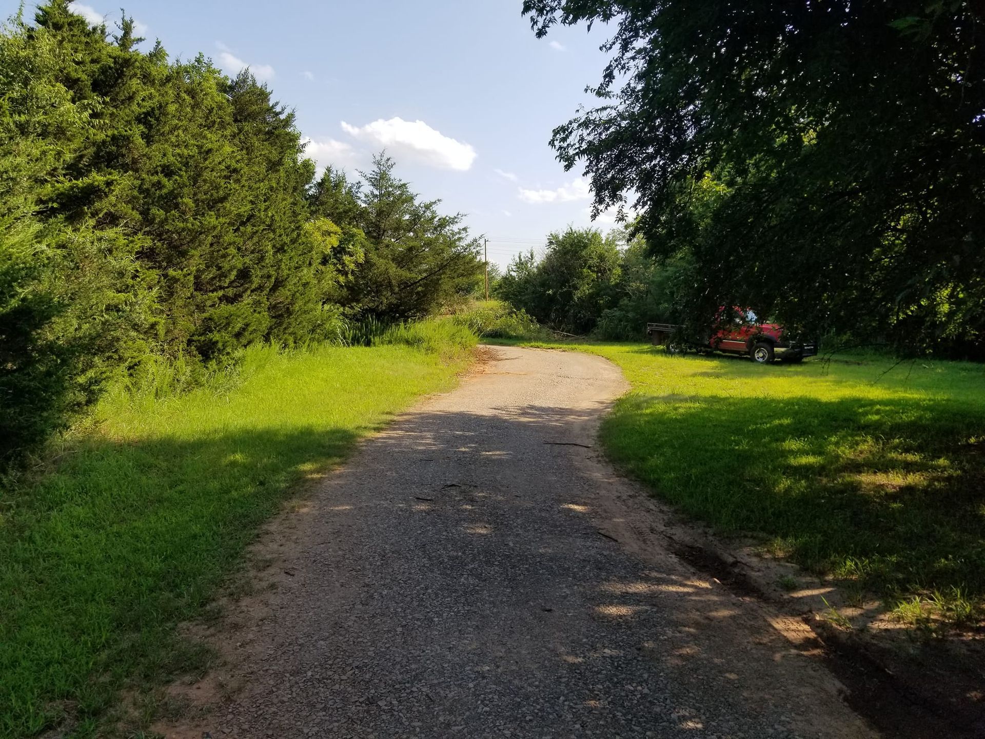 A dirt road going through a grassy area with trees on both sides