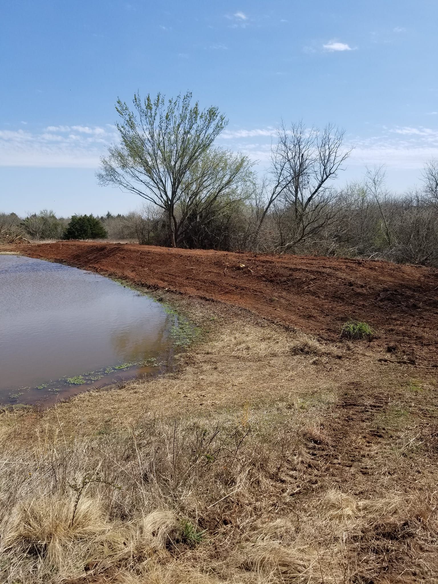 A small pond in the middle of a field with trees in the background.