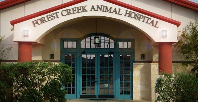 rock creek animal hospital