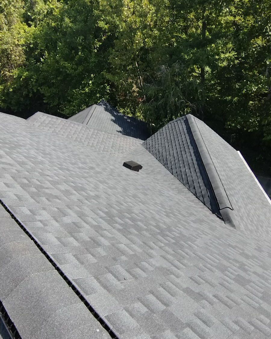 A close up of a roof with trees in the background