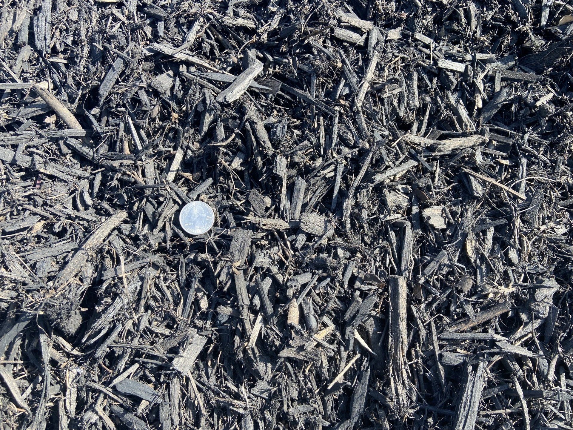 Black Mulch