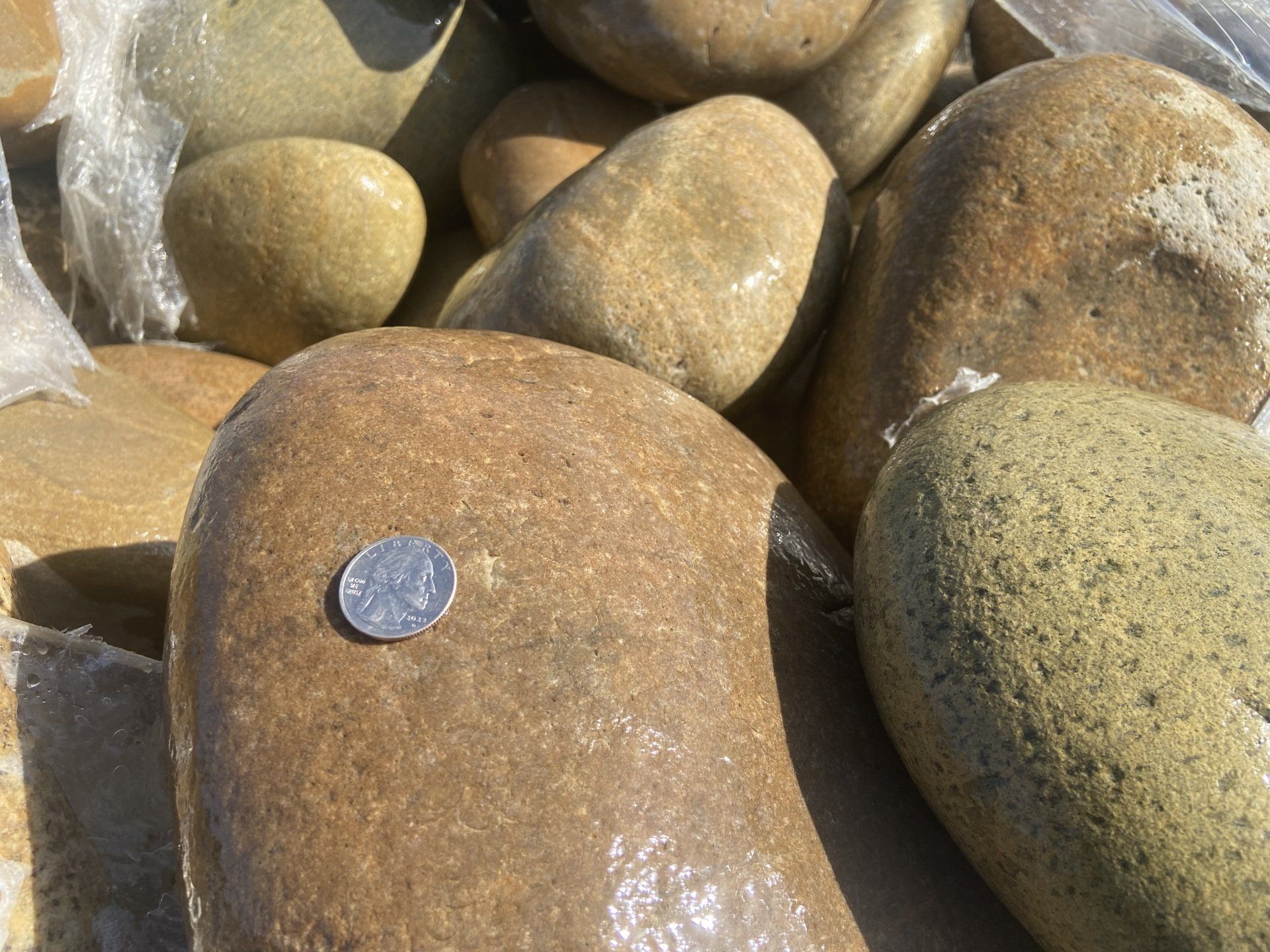 Mexican Beach Buff 8-12