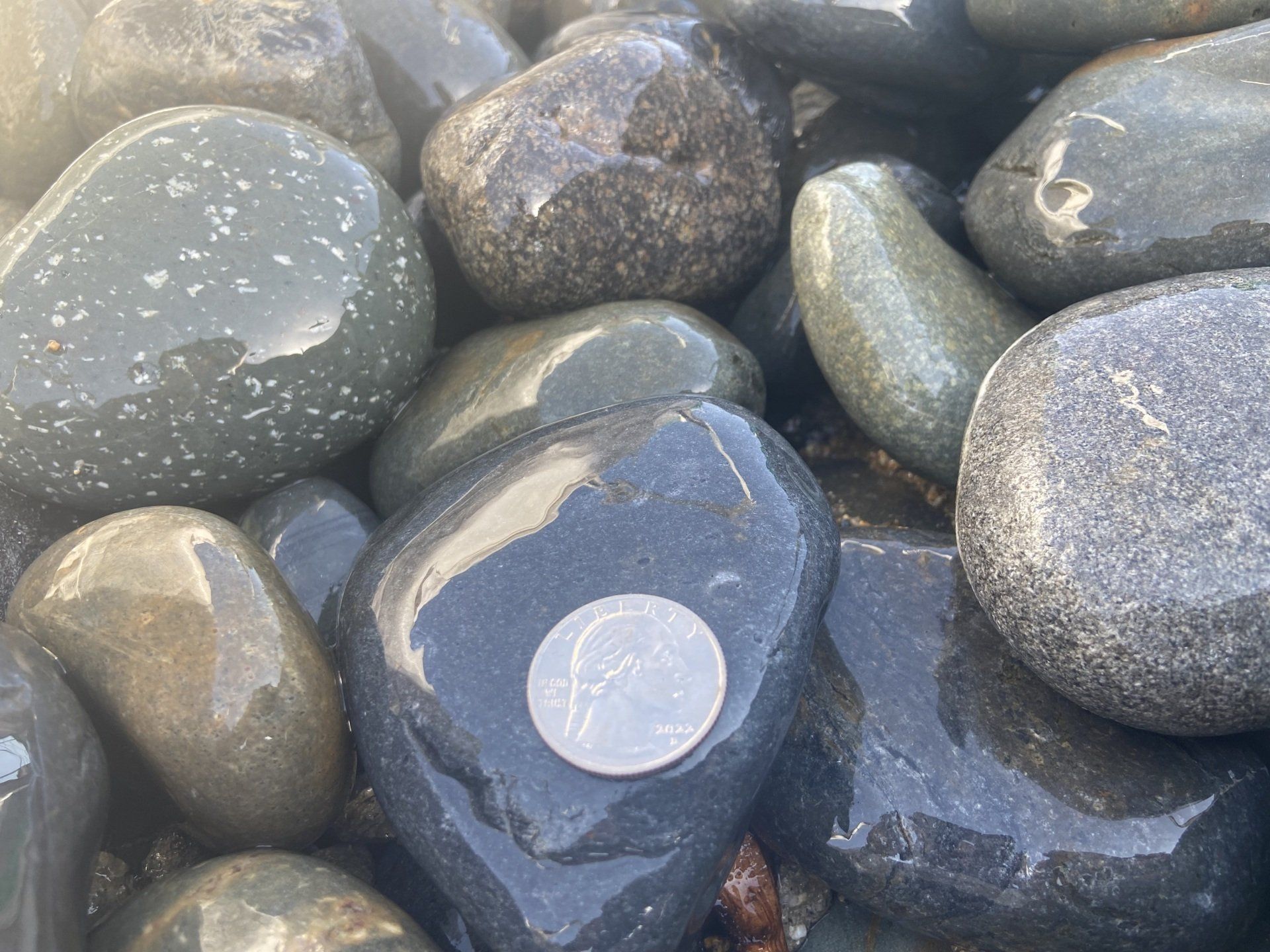 Mexican Beach Cobble Grey 2-4