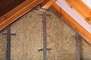 Learn More About Animal Proofing & Repairs Animal Proofing & Repairs