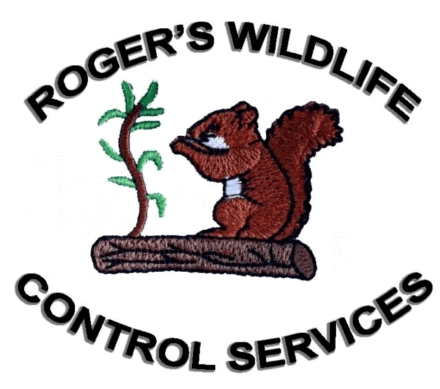 Roger's Wildlife Control LLC-Logo