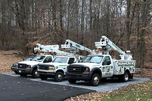 Learn More About Emergency Services Three utility trucks are parked in a parking lot in front of a forest.