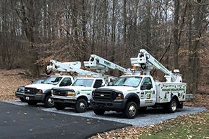 Three utility trucks are parked in a parking lot in front of a forest.