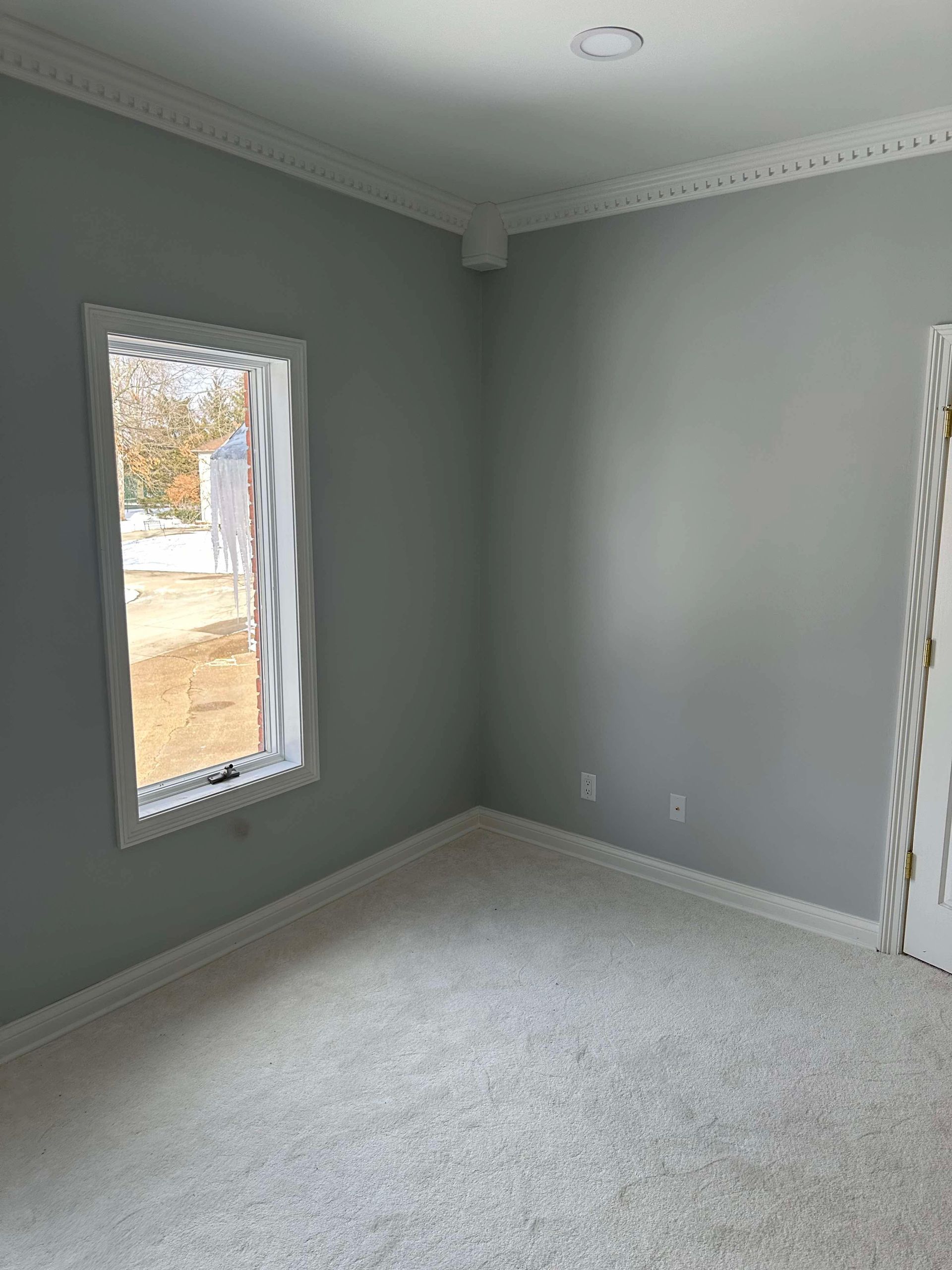 Empty gray bedroom with white trim, carpet, and two windows letting in daylight
