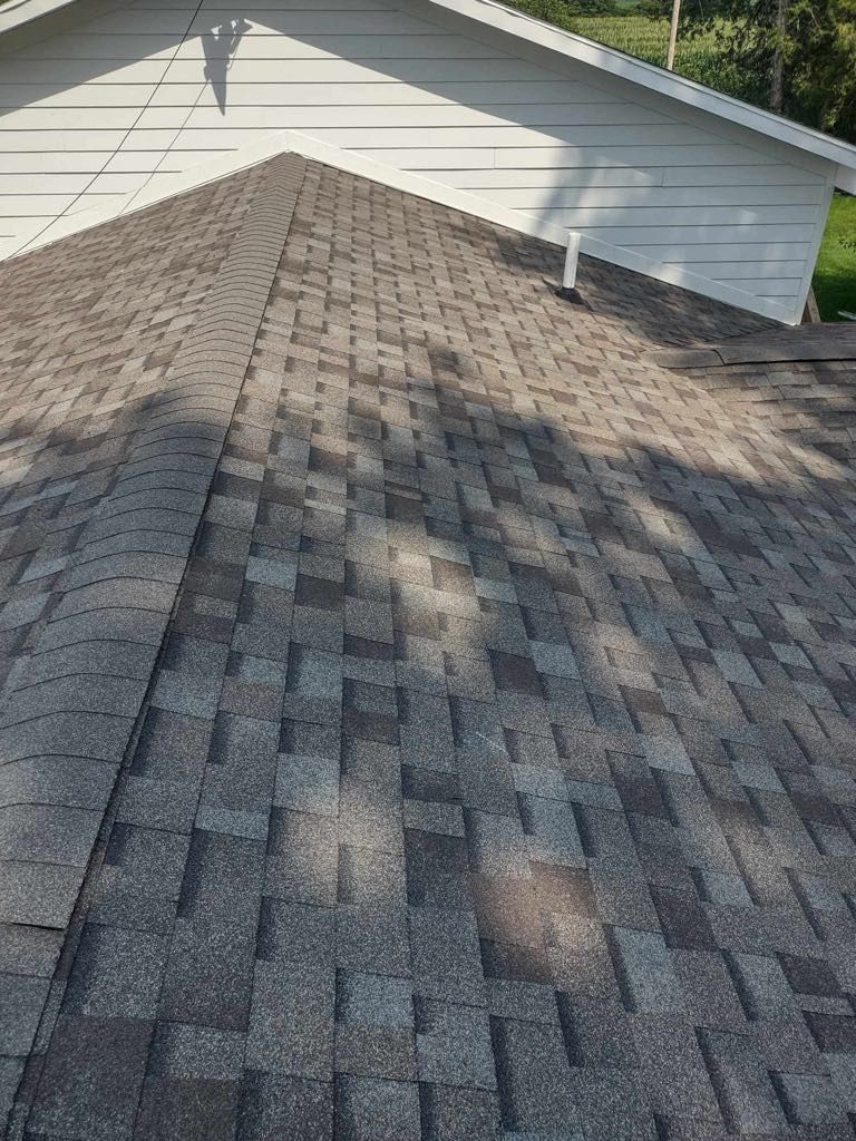 Roof shingles on a house, showing a dark patch near the ridge with sunlight and tree shadows.