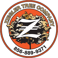 Ziegler Tree Company - Logo