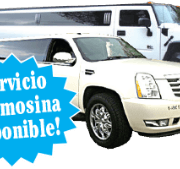 Limousine