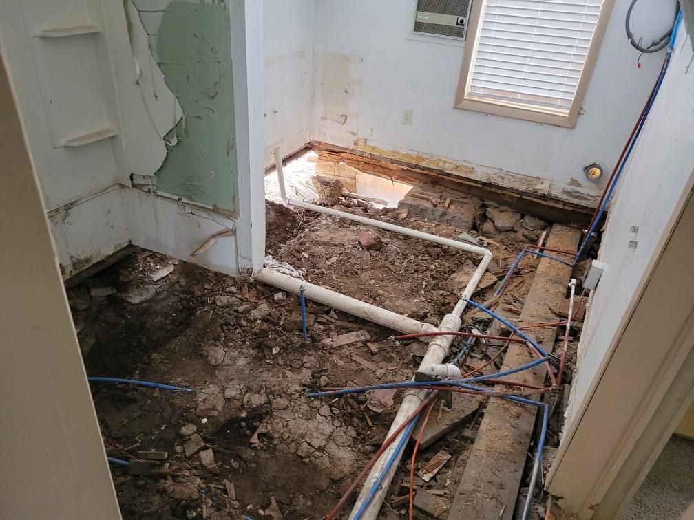 120-year-old house rotting out