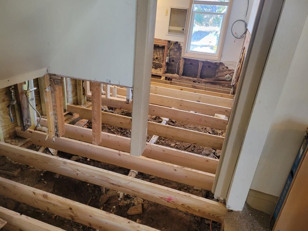 reframed the lower end of the house with treated wood