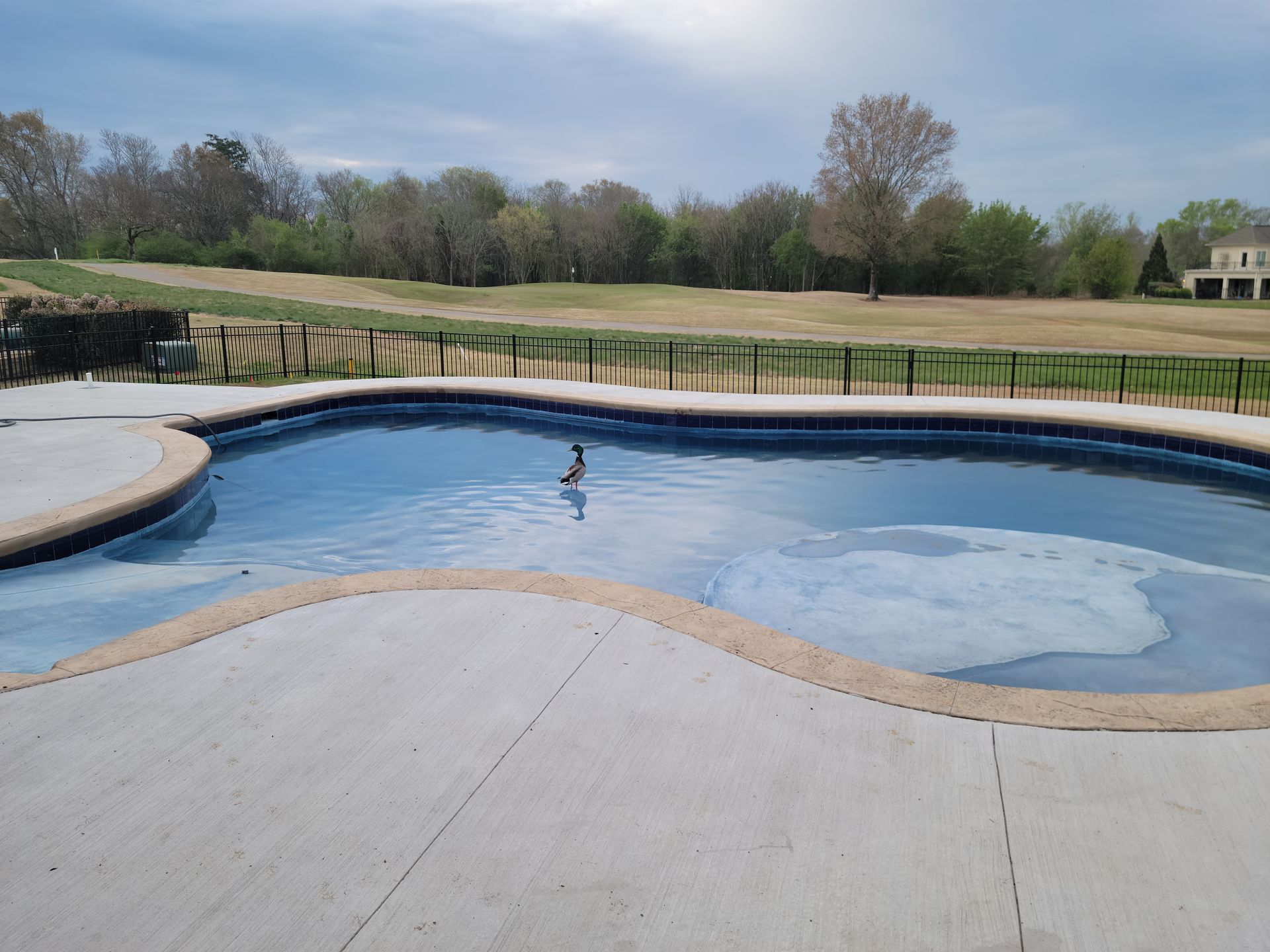 A large swimming pool with a fence around it and a golf course in the background.