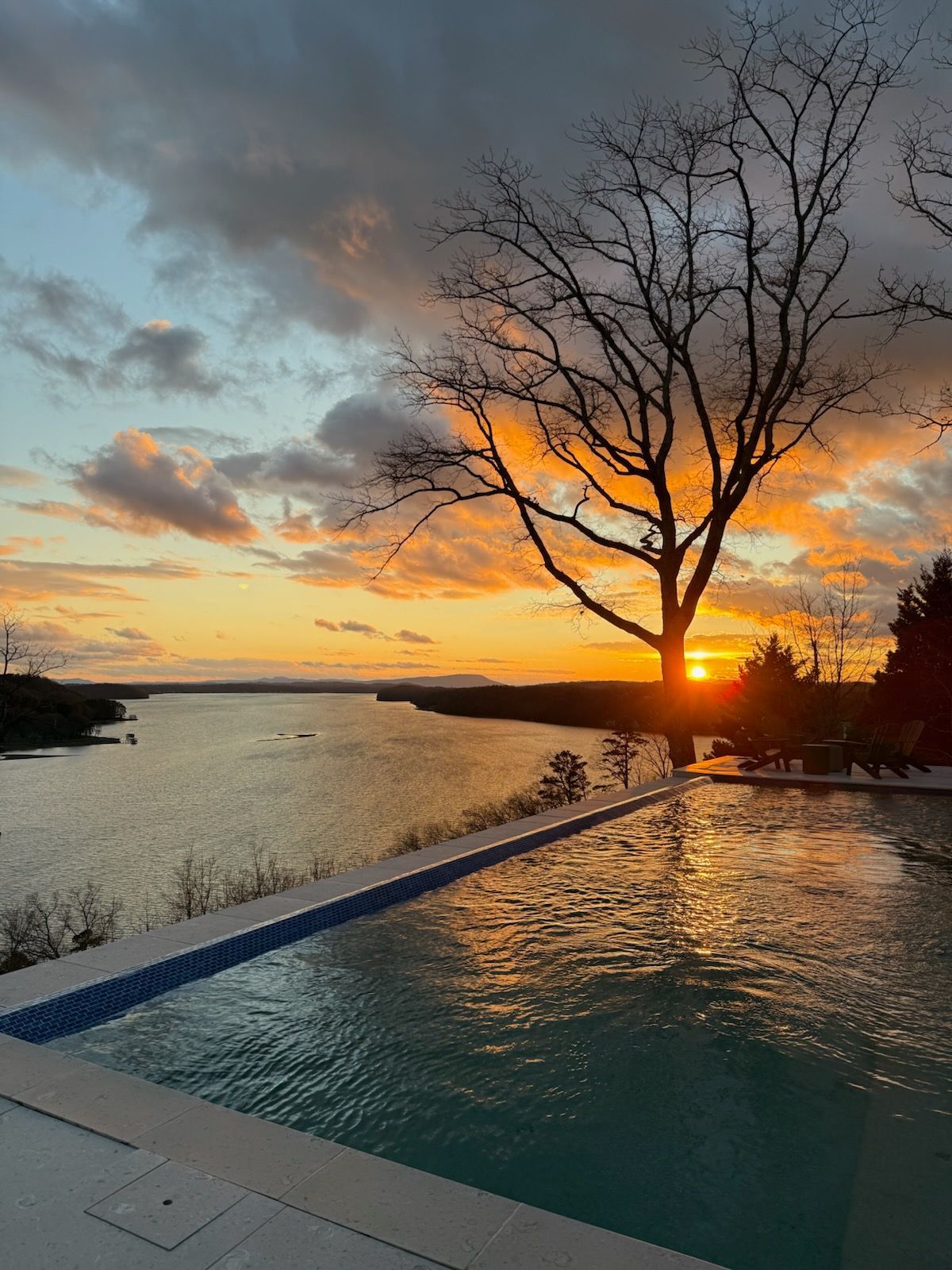 The sun is setting over a body of water with a tree in the foreground.