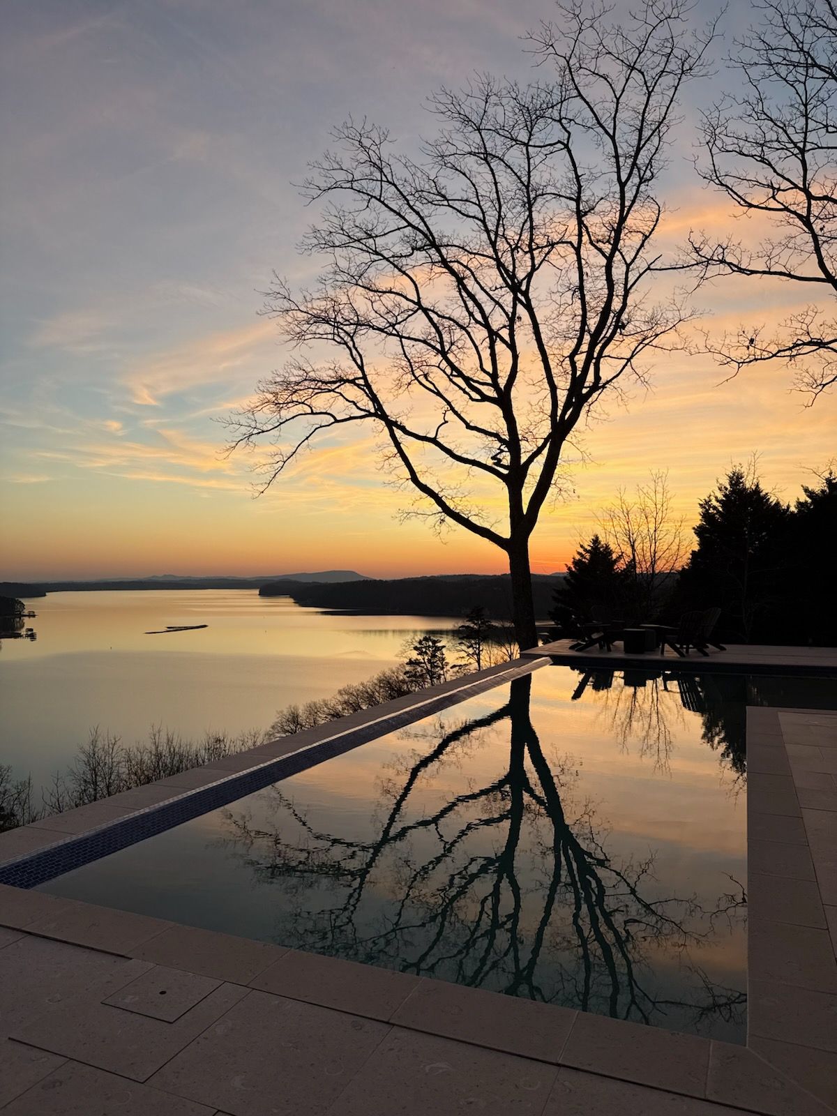 A tree is reflected in a swimming pool at sunset.