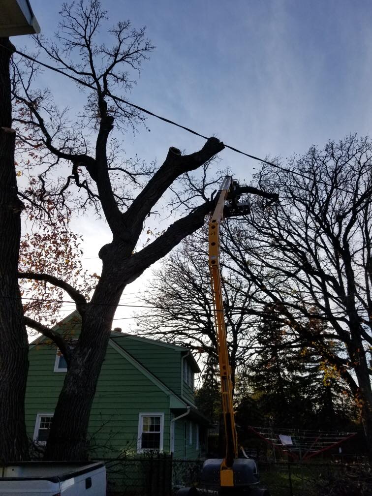 Jake's Tree Service Tree Care and Removal Hawley, MN