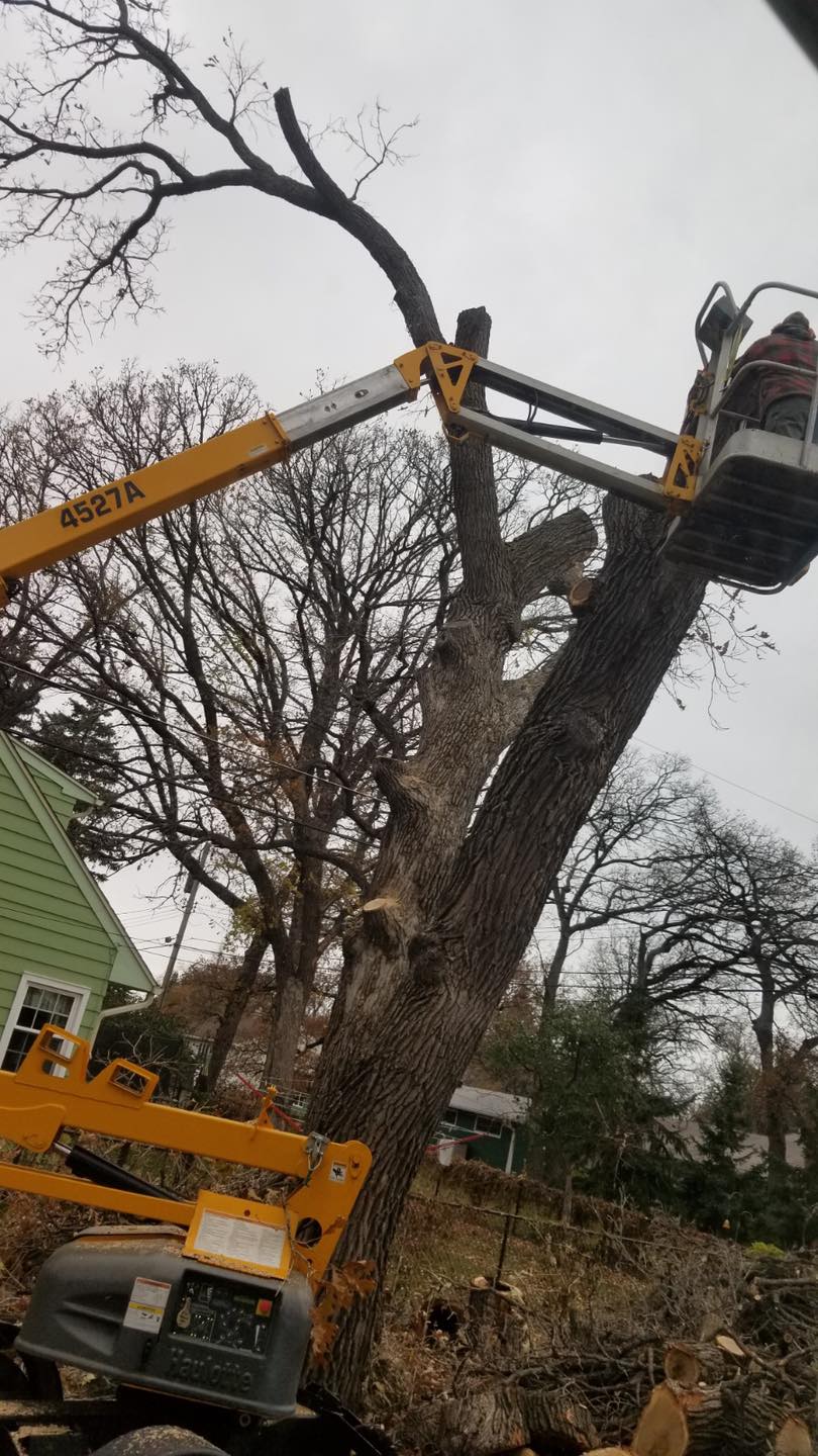 Jake's Tree Service Tree Care and Removal Hawley, MN