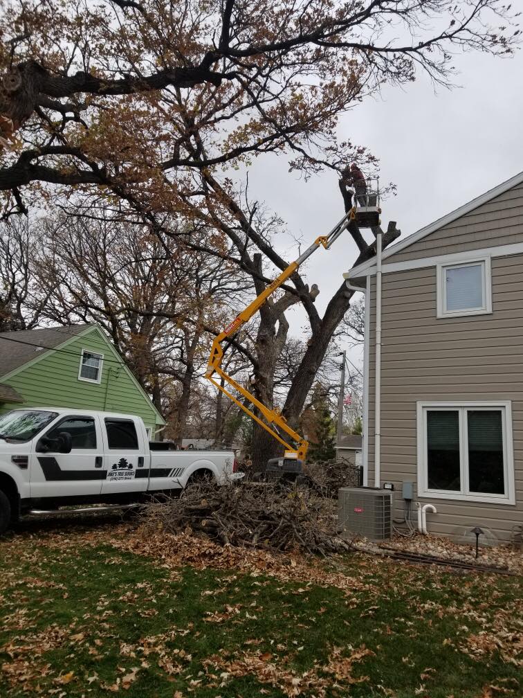 Jake's Tree Service Gallery Hawley, MN