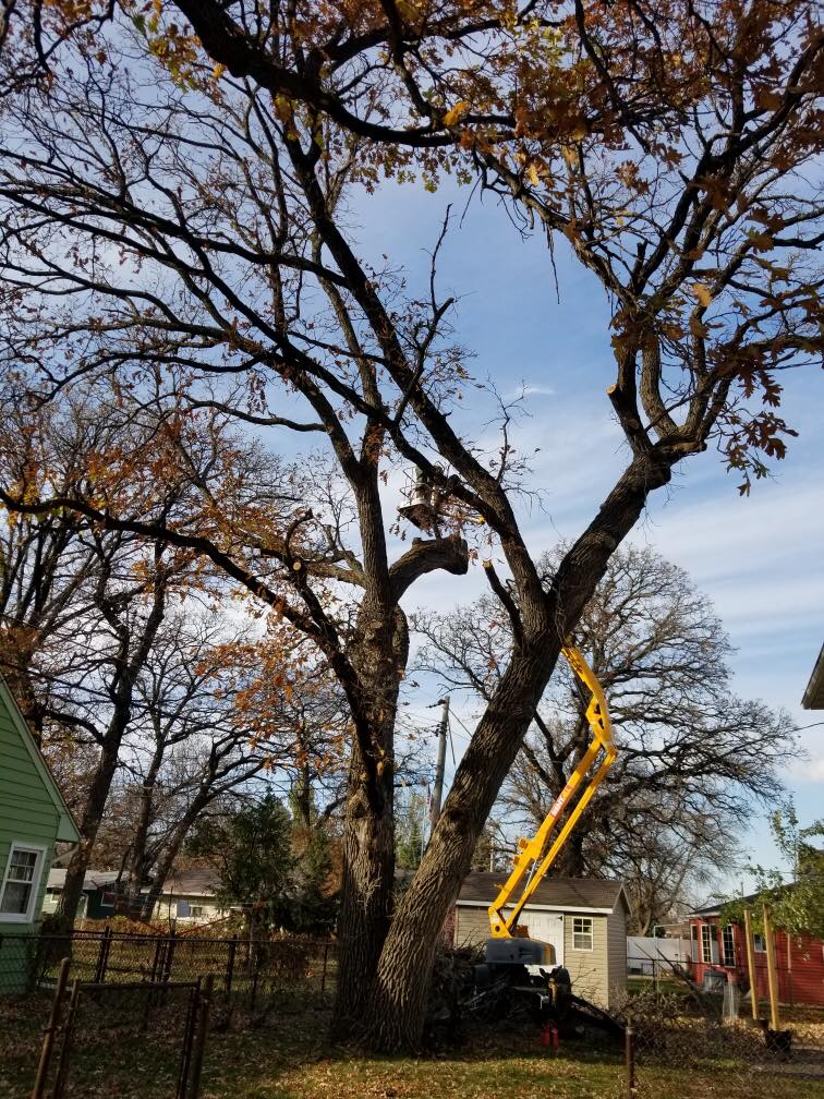 Jake's Tree Service | Tree Care and Removal | Hawley, MN