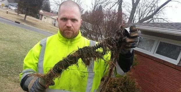 Worker in a neon yellow jacket holds a long muddy root near a brick house.