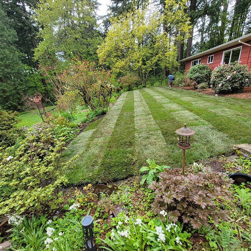 A man is mowing a lush green lawn in front of a house.