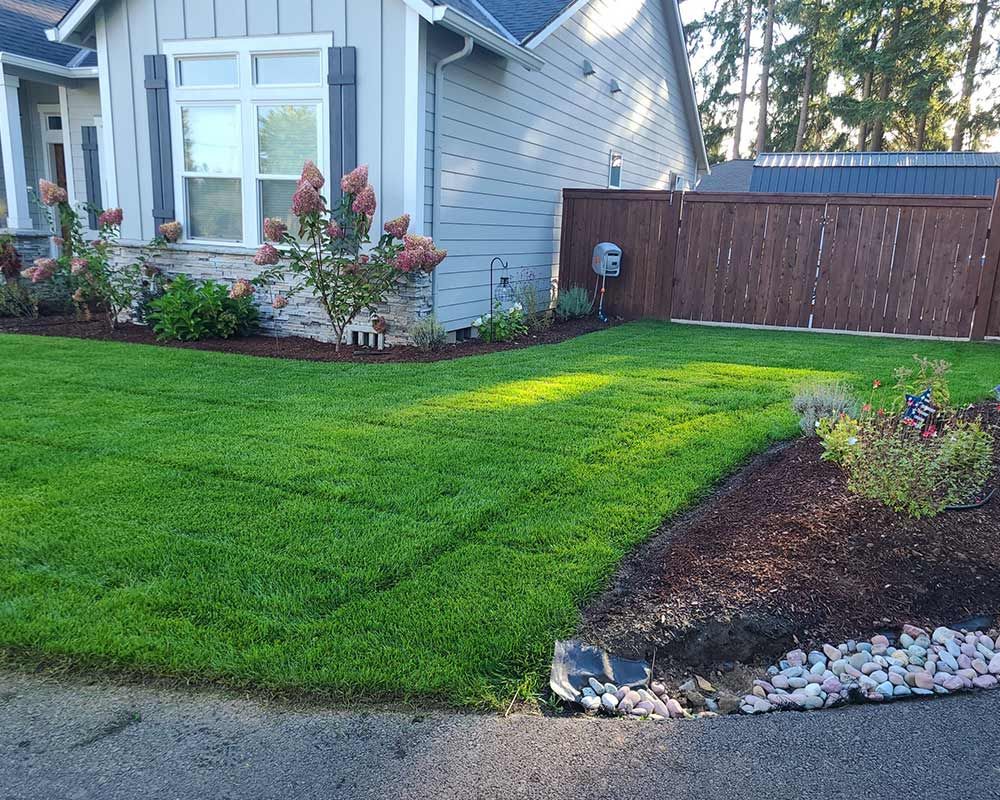 A lush green lawn in front of a house with a wooden fence.
