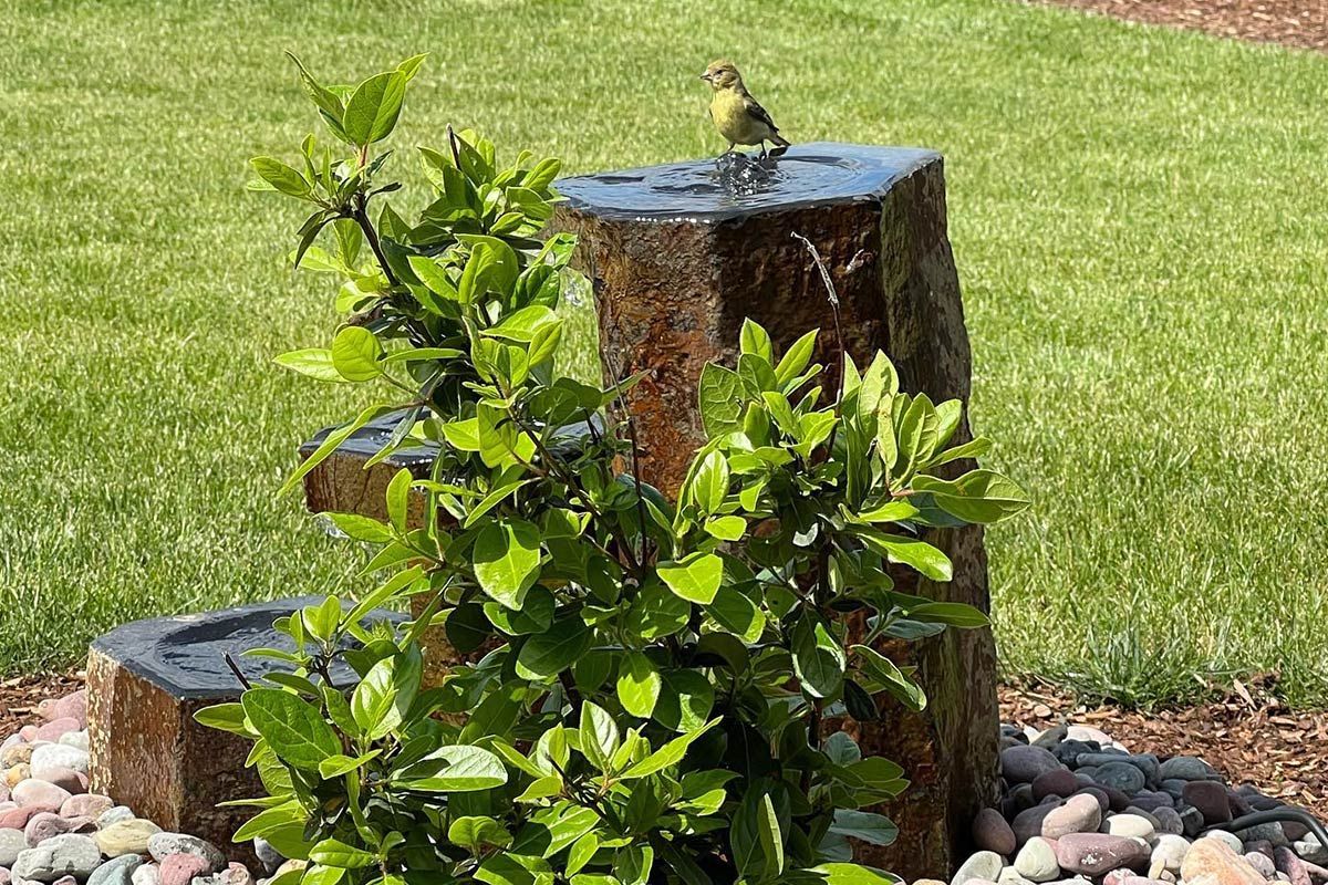 A bird is perched on top of a stone fountain in a garden.