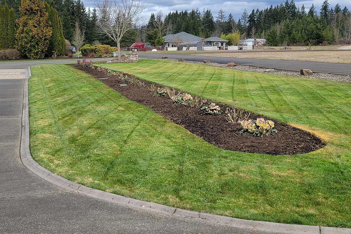 A lush green lawn with a concrete curb and a house in the background.