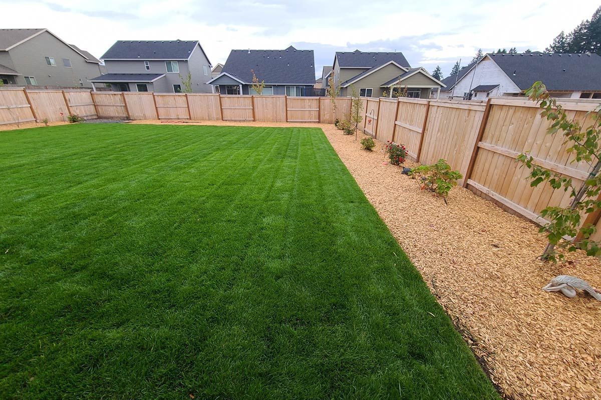 A backyard with a wooden fence and a lot of grass.