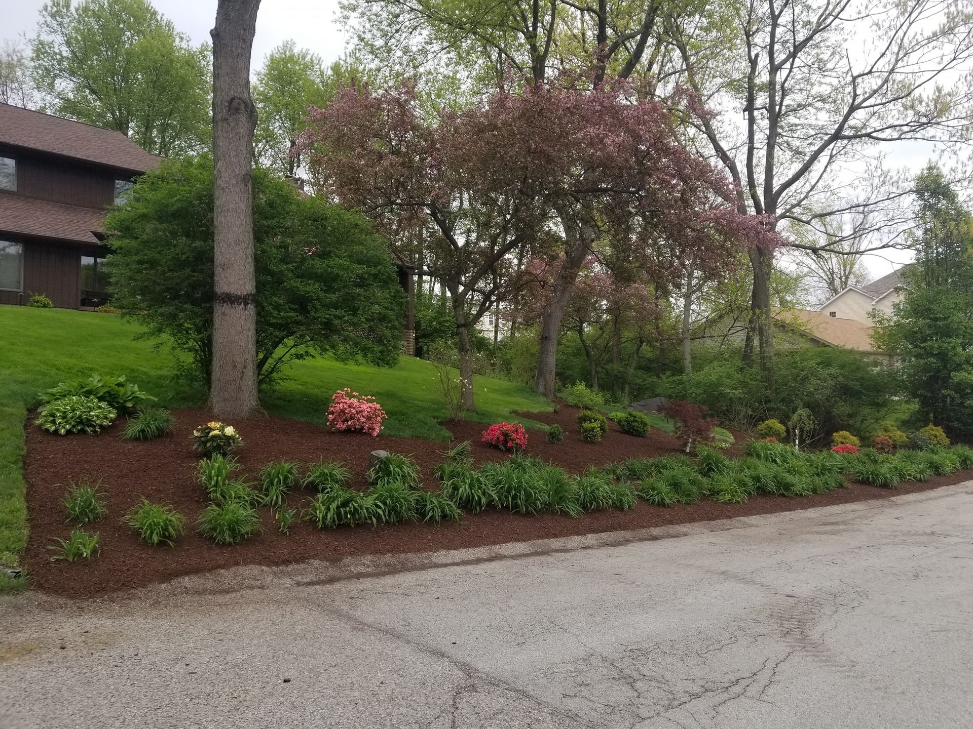 A house with a lot of trees and flowers in front of it.