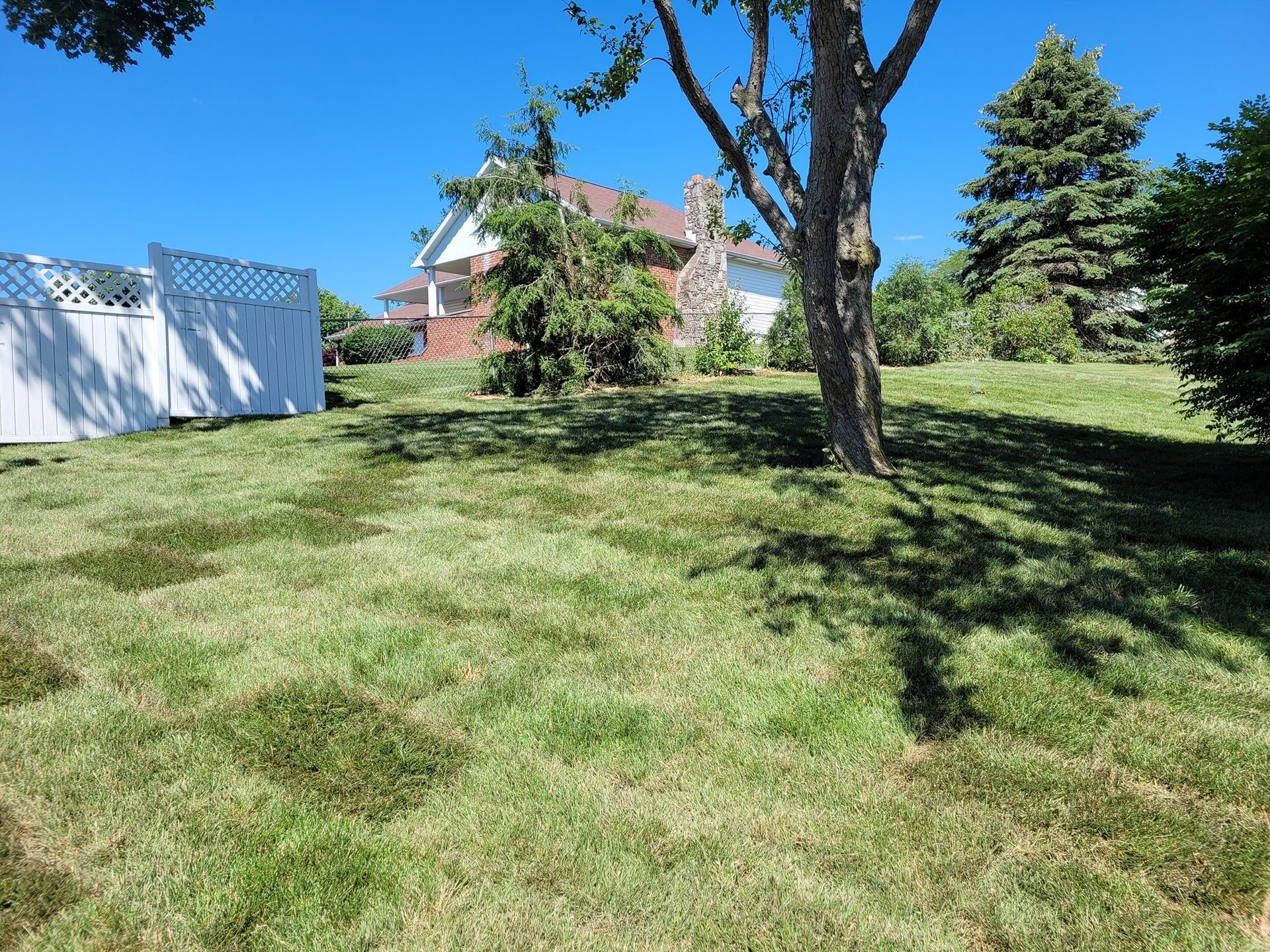 A lush green yard with a white fence and a house in the background