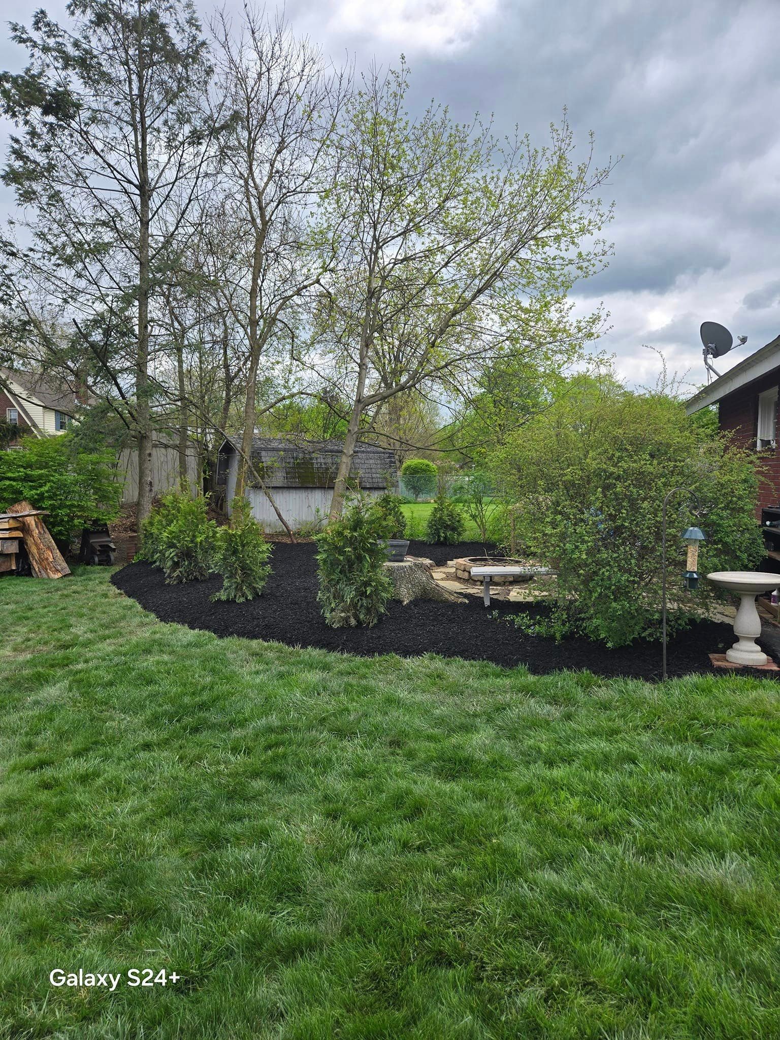 tree service greensburg pa