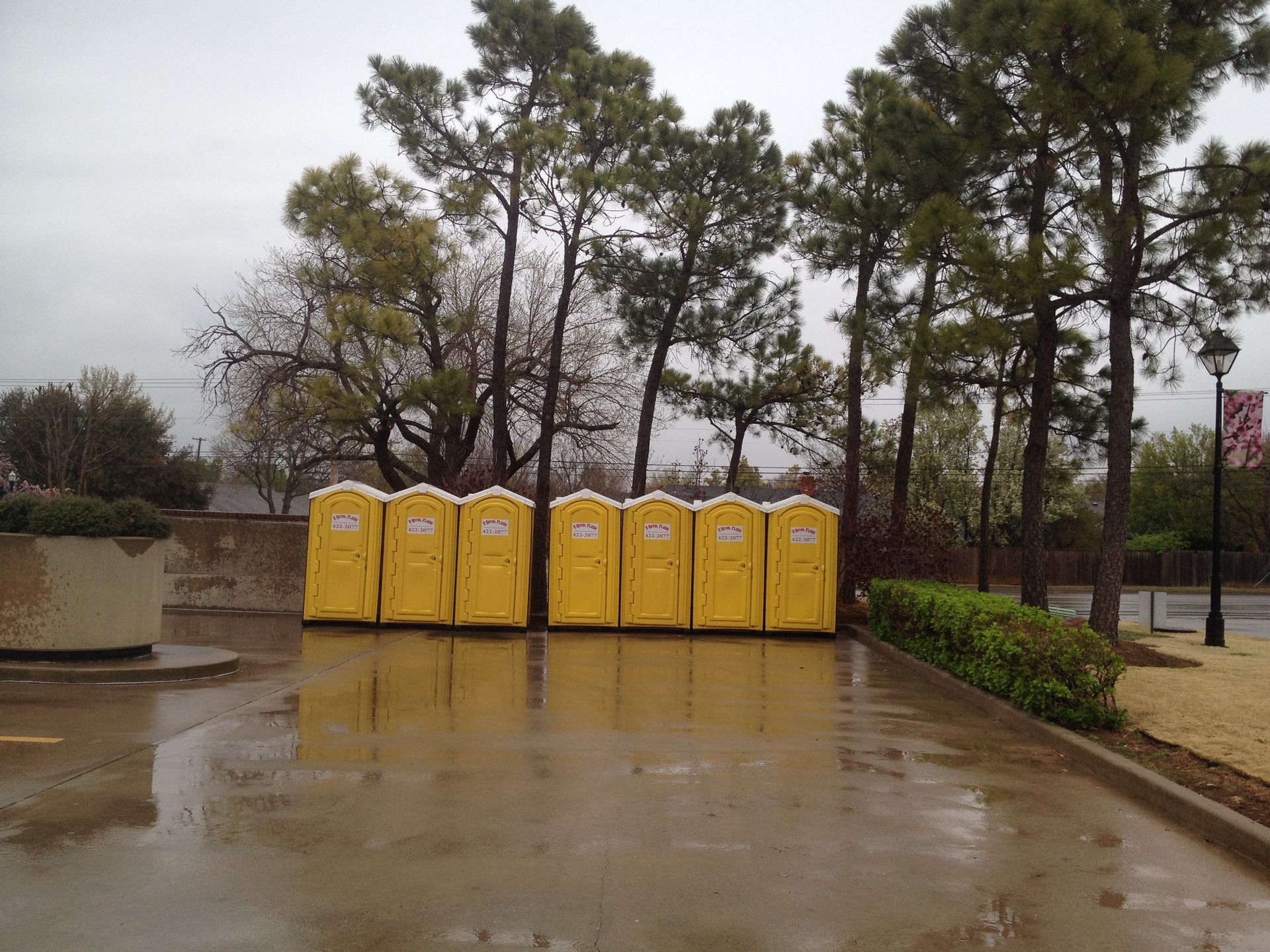 Row of yellow portable toilets on a wet, paved surface; trees and overcast sky in background.
