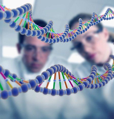 DNA Relationship test