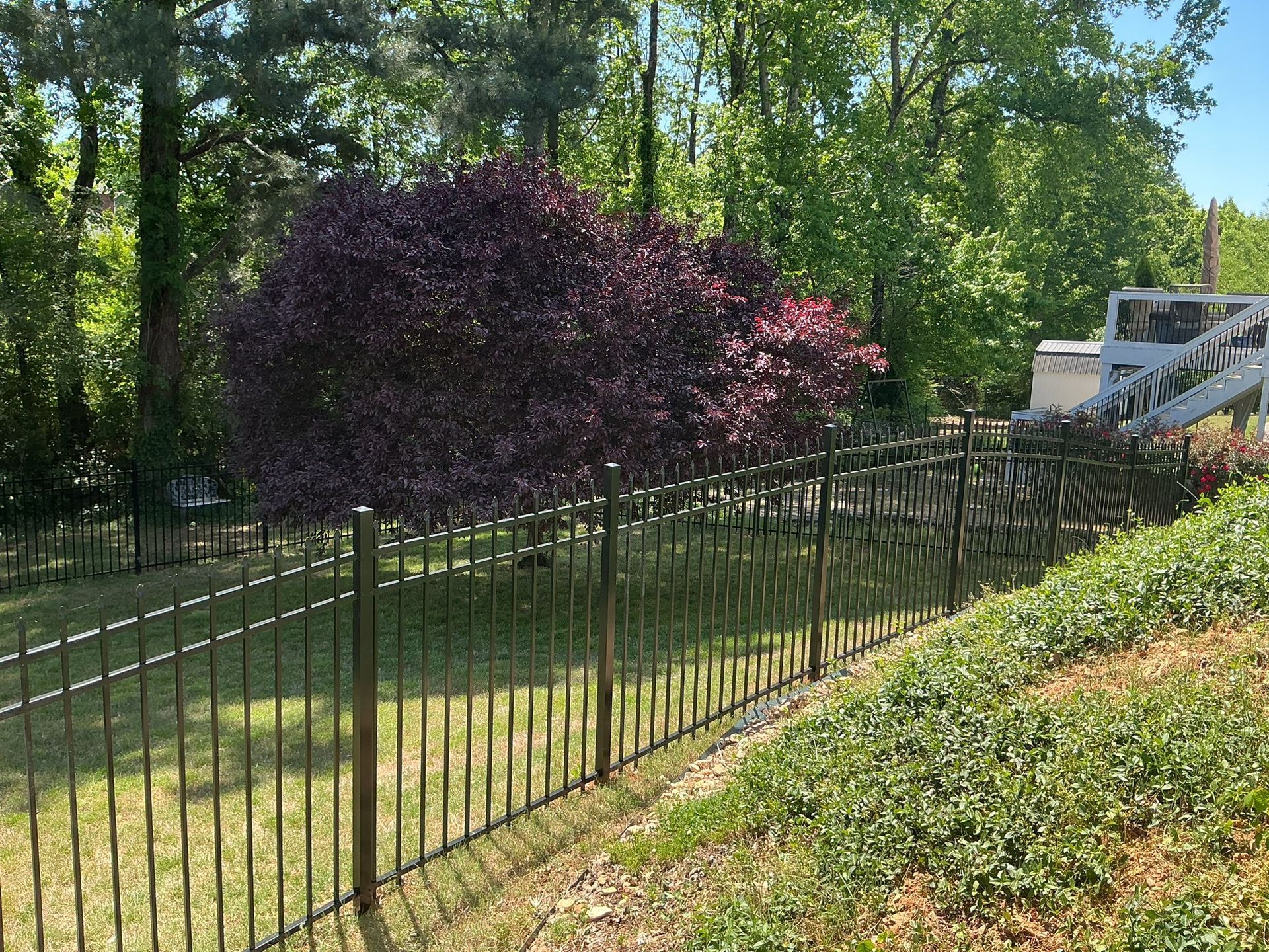 Black wrought-iron fence beside a grassy slope, with trees and a purple bush in a sunny park.