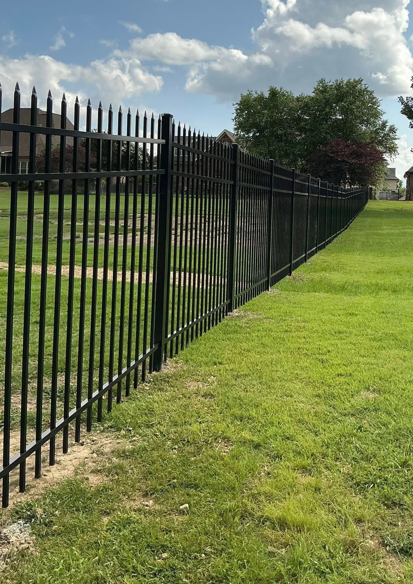 Black metal fence beside a grassy path, with a tree and cloudy sky in the background.