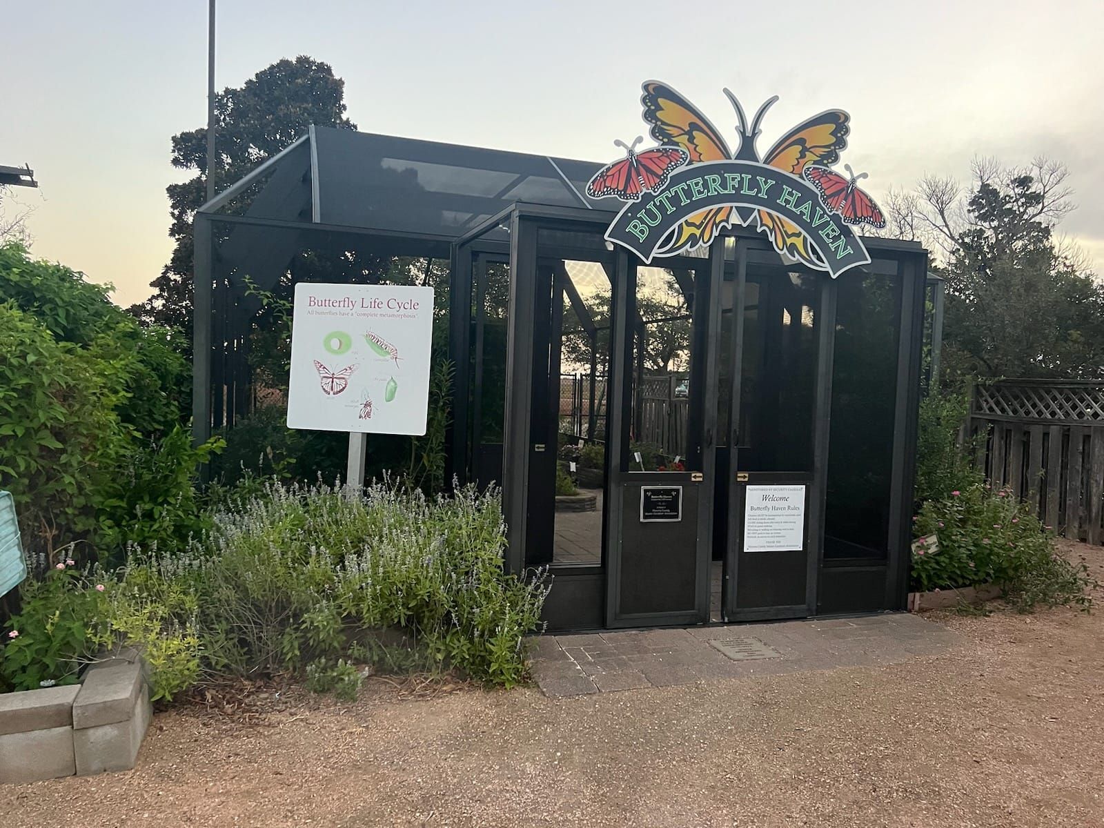 Butterfly Pavilion entrance, black structure with a sign, on gravel, with green plants. Overhead, a butterfly-shaped sign.