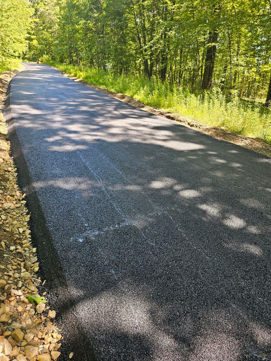 Asphalt path through a green forest, sunlight casting shadows.