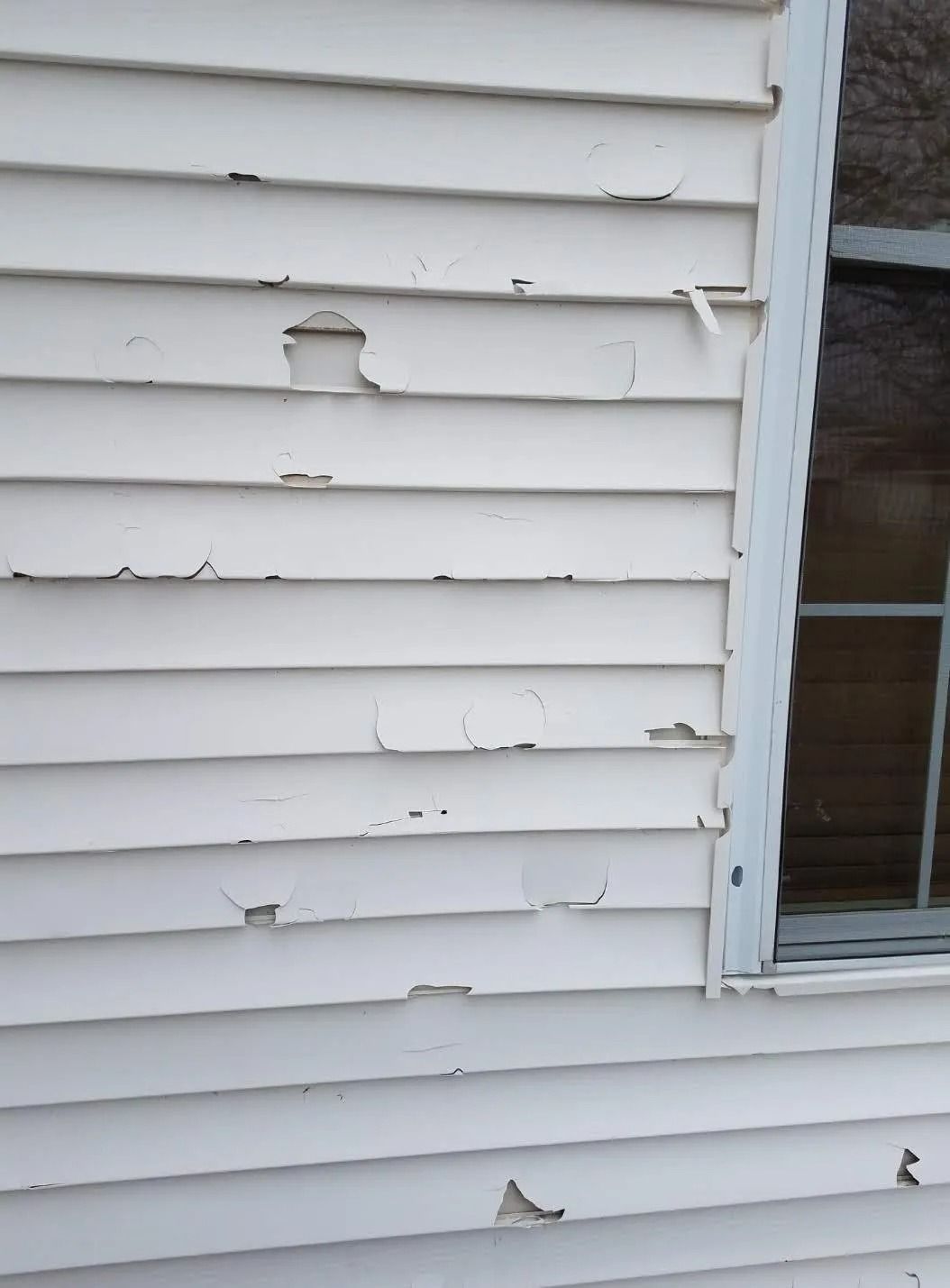 Close-up of beige house siding with significant peeling paint and damage near a window frame.
