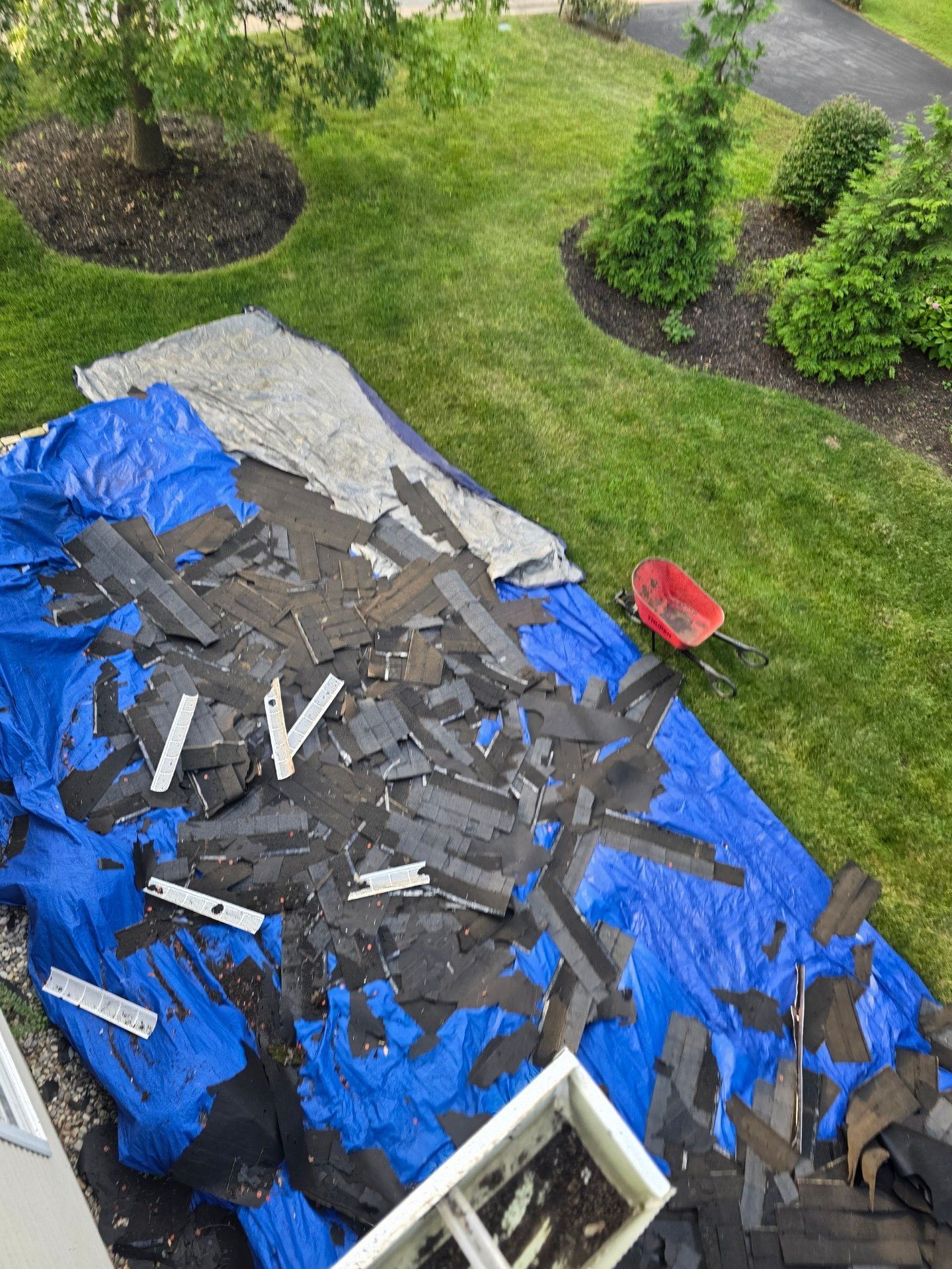 Old roofing shingles and debris piled on a blue tarp in a grassy yard, with a small red wheelbarrow nearby.