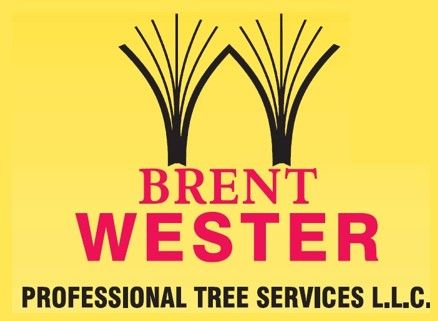 Brent Wester Professional Tree Services - logo