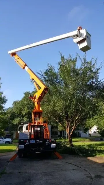 A crane is lifting a tree in a driveway