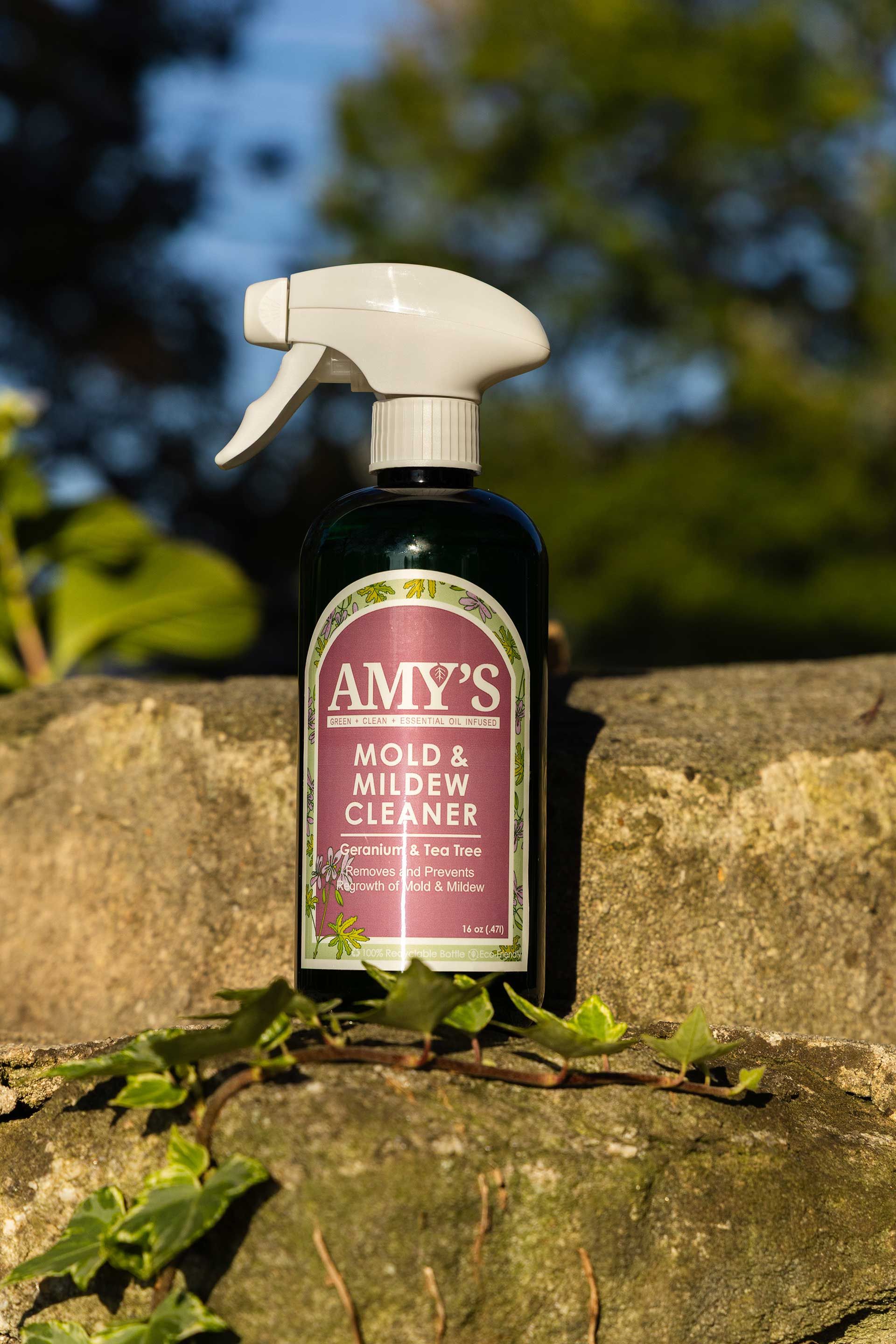 Amy's mold and mildew cleaner