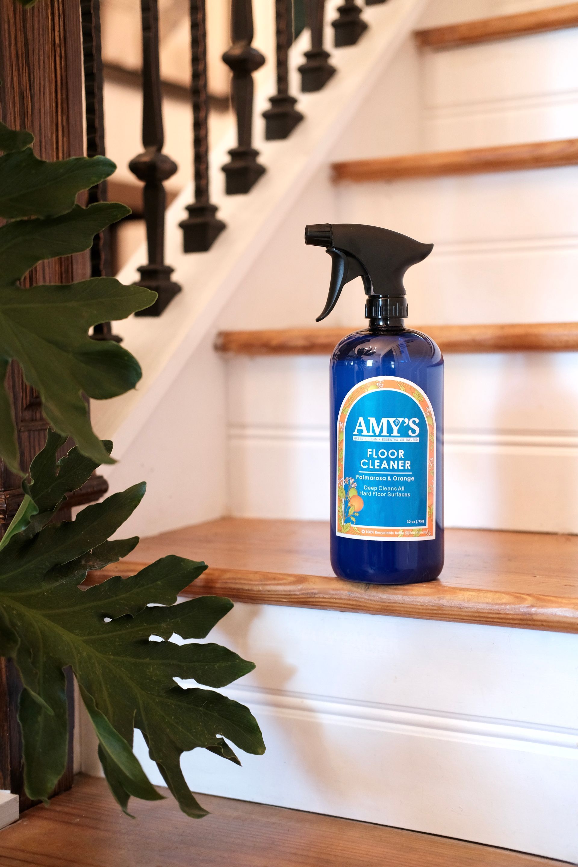 Blue spray bottle on wooden stairs with a green plant and black railing.